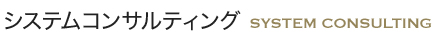 システムコンサルティング